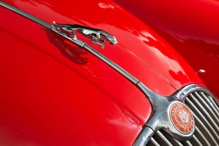 Jaguar XK 150 S OTS, Khlerfigur