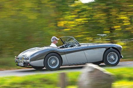 Austin Healey 100, Seitenansicht