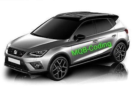 Seat Arona Leak