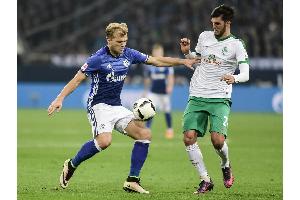 Hoffenheim holt im Sommer Bremer Grillitsch