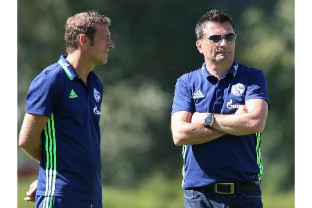 Fehlstart der Hinrunde: Schalke 04