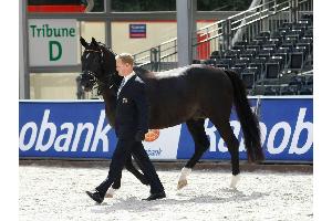 Totilas-"Comeback" bei französischer Pferdeshow