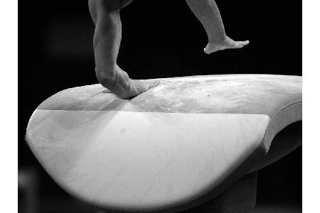 Langjähriger DTV-Präsident Borrmann gestorben