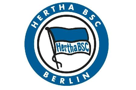 Nach einstweiliger Verfügung: AfD-Fraktion löscht Foto von Plattenhardt