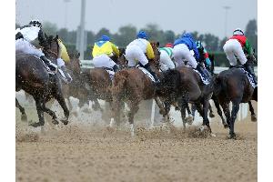 Galopp: Favorit Arrogate gewinnt Dubai World Cup