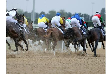 Galopp: Favorit Arrogate gewinnt Dubai World Cup