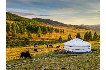 Platz 9: Mongolei. Stolze 28 Prozent mehr Menschen machten im zentralasiatischen Binnenstaat - zwischen Russland und China -...