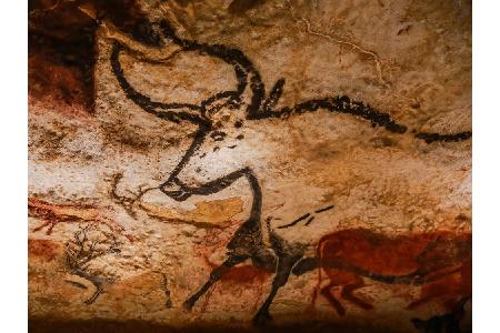 Wieder geht es unter die Erde. Dieses Mal nach Frankreich: Die Wandmalereien von Lascaux sind für die Öffentlichkeit nicht m...