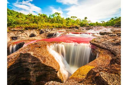 Besondere Algen lassen den Fluss Caño Cristales im Nationalpark 