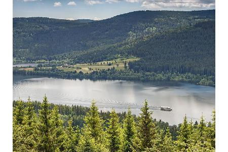 Wieder ein Kontrast: Der Wettkampf am Schluchsee im herrlichen Schwarzwald. Hier gibt es nichts zum Auswählen: 1,5 km - 36 k...
