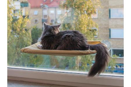 Hauskatzen, die eine schöne Aussicht bevorzugen, dürften sich aber eher über dieses Fensterbank-Katzenbett freuen.