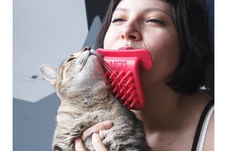 Zuneigung drücken Katzen oft mit einem 