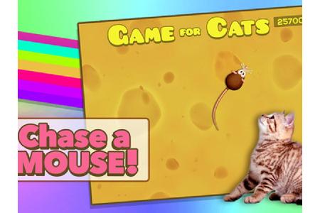 Wer seiner Katze eine Freude machen möchte, der sollte eines der folgenden Games für Stubentiger herunterladen. In 