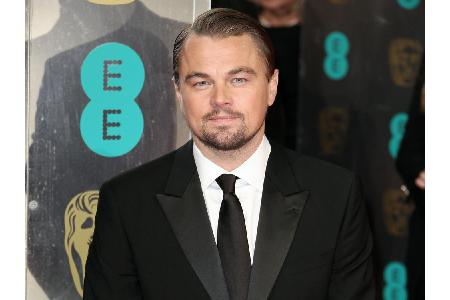 Oft wurde Leonardo DiCaprio (42) in Interviews gefragt, ob er auch etwas Deutsch kann, und ein paar Brocken spricht er sogar...