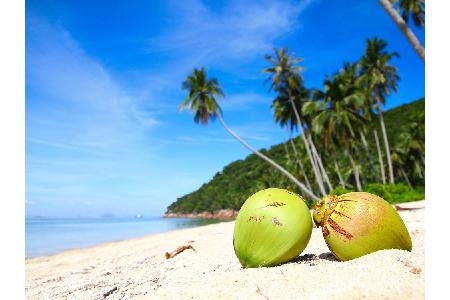 Apropos schöne Strände: An denen mangelt es in Malaysia selbstverständlich nicht. Zumal die Küstenstreifen im Gegensatz zu i...