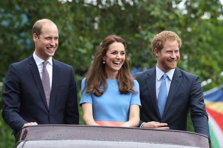 ...die drei sich auch privat gut verstehen, ist kaum zu übersehen. Nur eine Sache störe Harry an seiner Schwägerin Catherine...