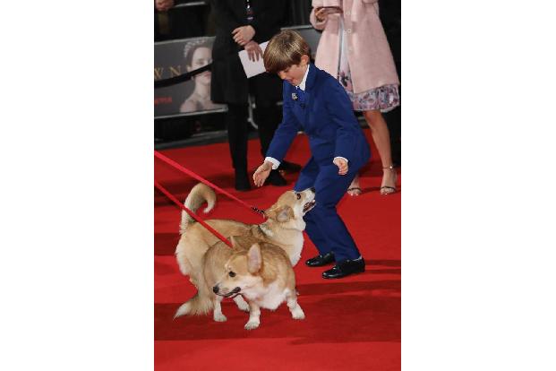 ...die Corgis in Kombination mit Billy umso süßer waren. Tja, bei Hunden geht eben allen das Herz auf, auch wenn sie Stummel...