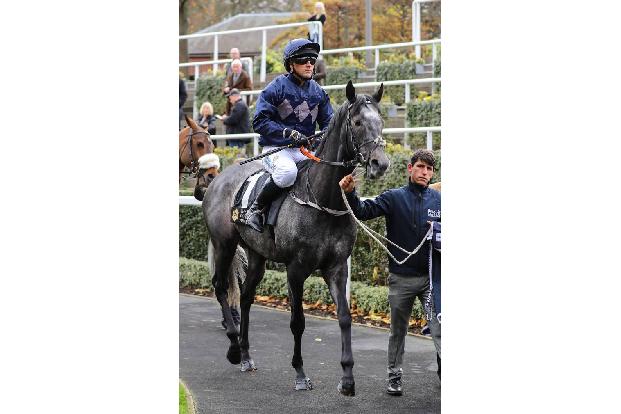 ...zu ehren. Der gab in einem Charity-Turnier sein Debüt als Jockey. Wie Fans des Sports um das runde Leder wissen, war der ...