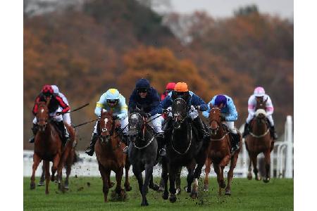 ...die Jockeys, die beim Prince's Countryside Fund Race ihr Bestes gaben. Ex-Fußballer Michael Owen, der von den Engländern ...