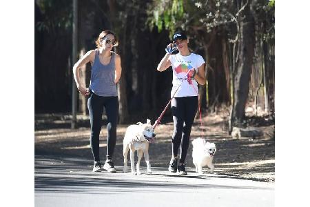 ...Hunde Lulu und Meeka sind immer an der Seite von Jenna Dewan-Tatum, sogar beim Sporteln: Sie joggt gerne mit ihren gelieb...