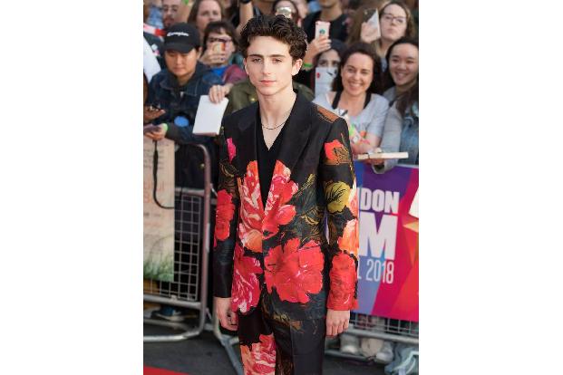 Timothée Chalamet stellte in der britischen Hauptstadt seinen neuen Film 'Beautiful Boy' vor, der bereits auf den Filmfestsp...