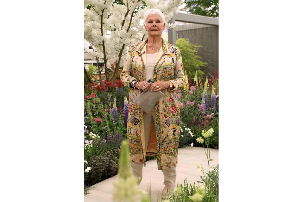 ...Judi Dench (die als Katze einen Mantel aus ihrem eigenen Fell zu tragen scheint) wurden bei vielen Nutzern Erinnerungen a...
