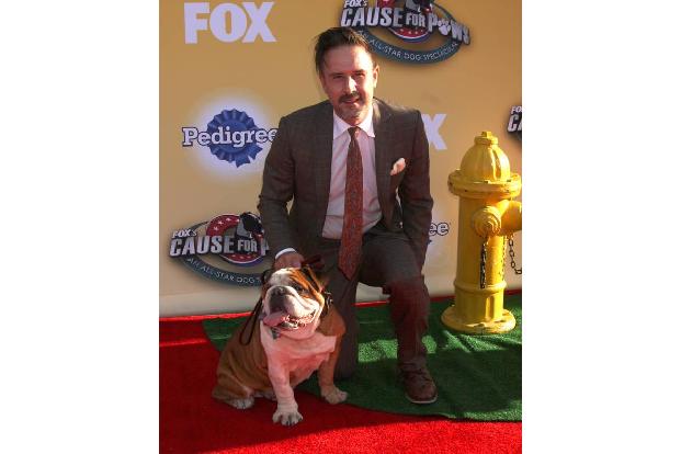David Arquette, hier bei einer Veranstaltung für Adoptivhunde, gab dem Basset Dallas ein neues Zuhause.