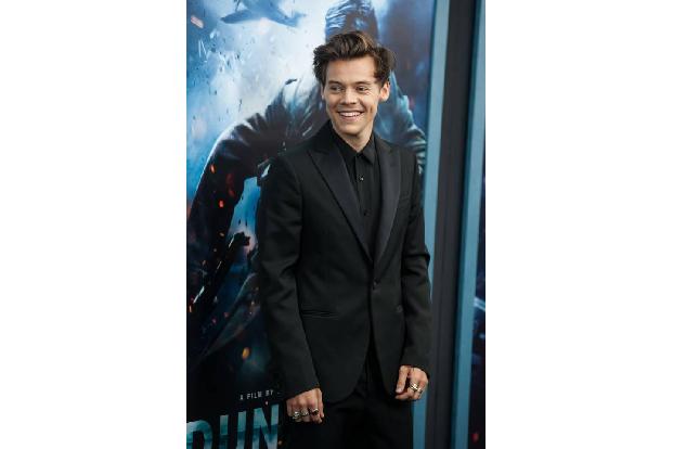 Harry Styles scheint Fans generell zu seltsamen Liebesbeweisen zu inspirieren. Eine Anhängerin namens Allie inszenierte eins...