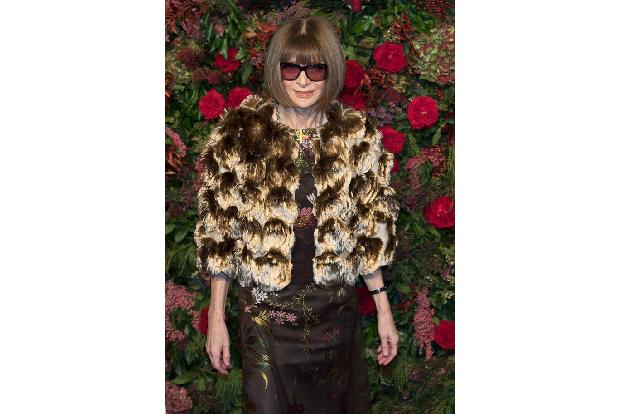 Sogar vor der berühmten 'Vogue'-Chefredakteurin Anna Wintour machen die Aktivisten keinen Halt. Ein PETA-Mitglied warf ihr b...