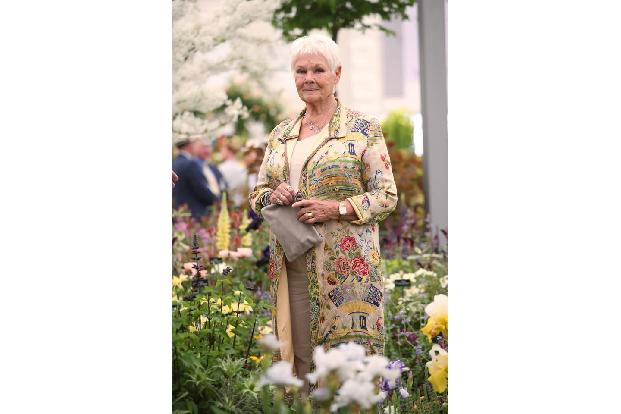 Die 84-jährige Judi Dench wird fast wütend, wenn sie auf das Thema Rente angesprochen wird - so wie kürzlich. Sie fauchte zu...