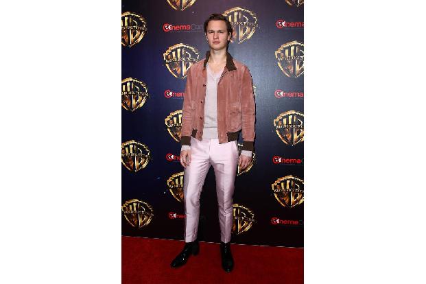...Ansel Elgort wird ab Oktober in der Literaturverfilmung 'The Goldfinch' zu sehen sein, der auf dem gleichnamigen Roman vo...