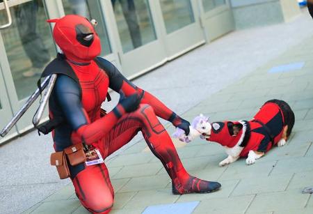 Ein echtes Dream-Team: Spider-Man und Spider-Dog! Tierische Unterstützung hatten einige der WonderCon-Besucher in diesem Jahr.
