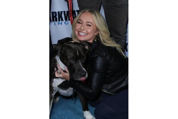 Vor fünf Jahren erwischte es auch Hayden Panettiere nach der Geburt von Tochter Kaya. Die Schauspielerin macht sich Sorgen, ...