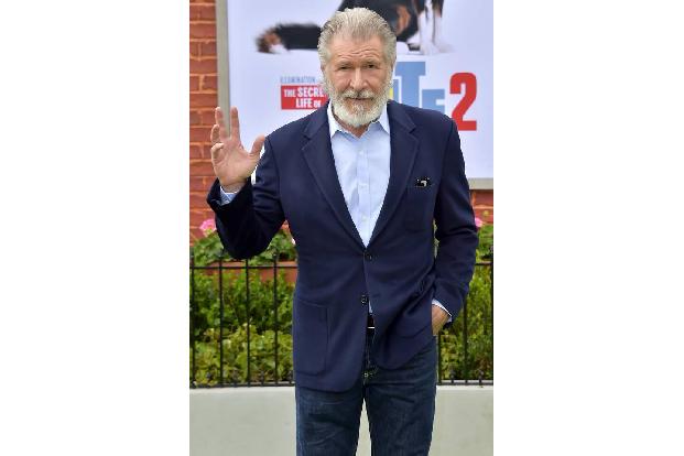 2009 hatte Indiana Jones die Nase vorn: Harrison Ford verdiente 65 Millionen Dollar (60 Millionen Euro). In den vergangenen ...