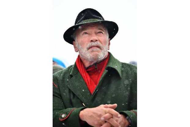 Arnold Schwarzenegger hat kürzlich eine handgeschnitzte Pfeife auf Reddit entdeckt, deren Kopf wie der des Terminators gefor...