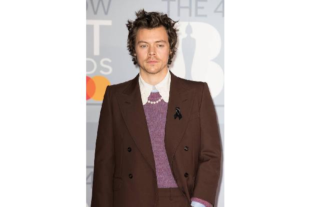 Harry Styles hat sich nach einem Überfall in London vor wenigen Tagen einen Bodyguard zugelegt, der den ehemaligen One-Direc...