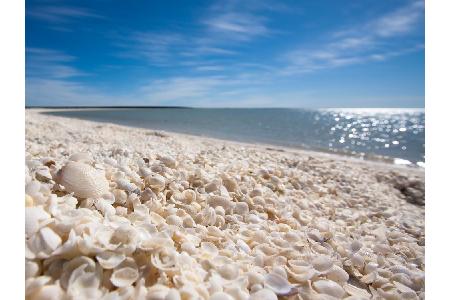 Ebenfalls in Australien, in der Shark Bay an der Westküste, liegt der Shell Beach. Was aus der Vogelperspektive aussieht, wi...