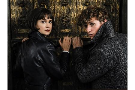 Am Ende des ersten Films wurde der mächtige Dunkle Zauberer Gellert Grindelwald (Johnny Depp) mit der Hilfe von Newt Scamand...