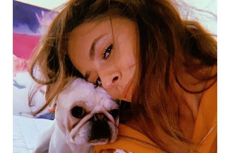 Schlager-Star Vanessa Mai (26) zeigt sich auf Instagram immer wieder mit ihrem Mops Ikaro. Doch nicht nur sie liebt ihren Vi...