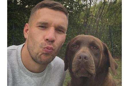 Der Hund von Lukas Podolski (33) bekommt bestimmt nicht nur ein Küsschen zum Welthundetag. Vielleicht spielen sie ja auch no...