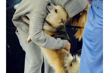 Auch Cara Delevingne liebt das Kuscheln mit ihrem Vierbeiner. Der Hund des 26-jährigen Models heißt übrigens Leo.