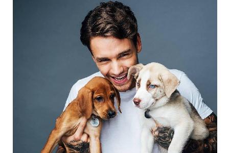 Auch Ex-One-Direction-Star Liam Payne (25) ist ein echter Hunde-Narr wie er gerne auf Instagram beweist. Hier knuddelt er gl...