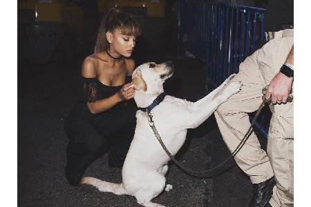 Pop-Sternchen Ariana Grande (25) hat ganze neun (!) Hunde: Strauss, Toulouse (Bild), Pignoli, Coco, Cinnamon, Lafayette, Myr...