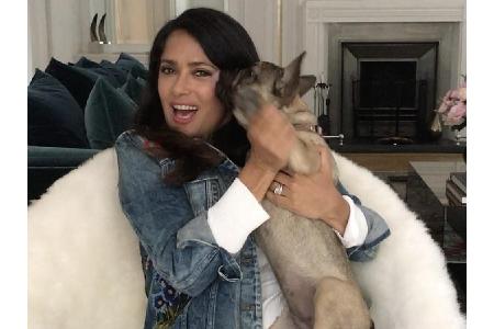 Salma Hayeks (52) Hunde sind ganz schön frech: Nicht nur eine Hochzeit sollen sie 