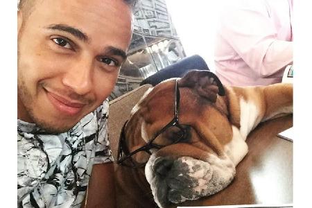 Eigentlich könnte man meinen, dass Lewis Hamilton (33) seine Freizeit mit schnellen Autos verbringt, aber der Formel-1-Star ...