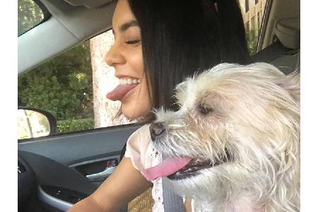 Schauspielerin Vanessa Hudgens (29) hat nichts gegen ein Selfie mit Hund einzuwenden. Der süße Vierbeiner mit den schielende...