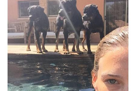 Model Bar Refaeli (33) wird beim Planschen gut bewacht: Ihre Hunde stehen am Beckenrand und halten Ausschau nach Gefahren. R...