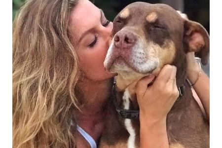 Model Gisele Bündchen (38) ist dankbar für ihre treuen Freunde. Sie ist ganz vernarrt in Hund Lua. Sie und Ehemann Tom Brady...