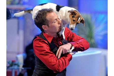 2009 gab es mit Yvo Antoni und seiner Hündin PrimaDonna den ersten nicht-musikalischen Gewinner. Das Duo begeisterte mit amü...