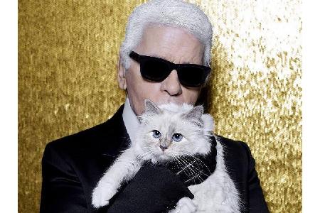 2011 bekam Karl Lagerfeld (84) seine weiße Birma-Katze Choupette von dem Model Baptiste Giabiconi (28) geschenkt. Die Katze ...